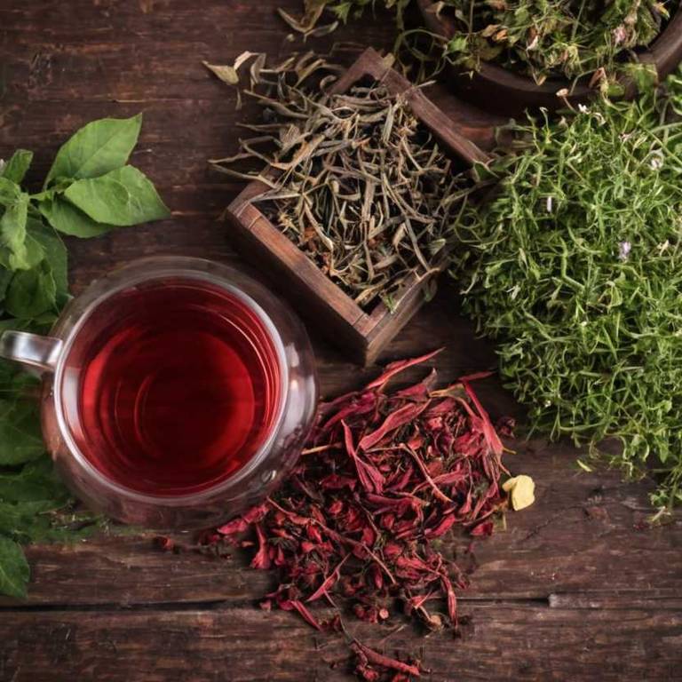 herbal teas for mouth-bleeding-spots Ulmus rubra