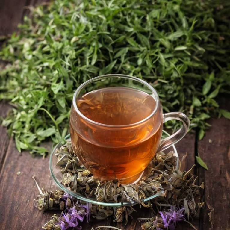 herbal teas for mouth-ulcers Coptis chinensis