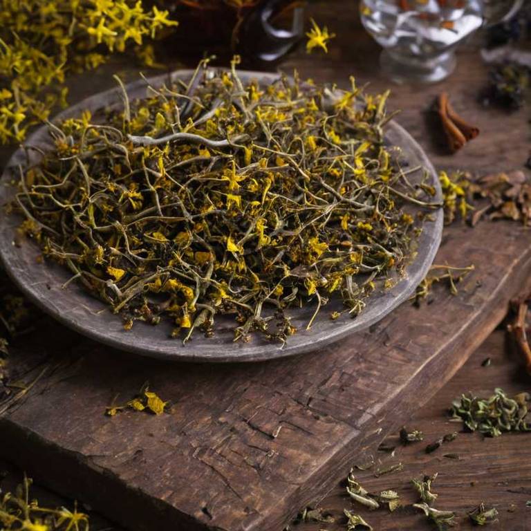 herbal teas for nose-bleeding Hamamelis virginiana