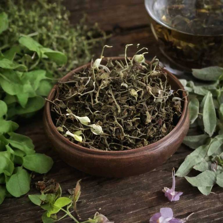 herbal teas for osteoporosis Epimedium grandiflorum