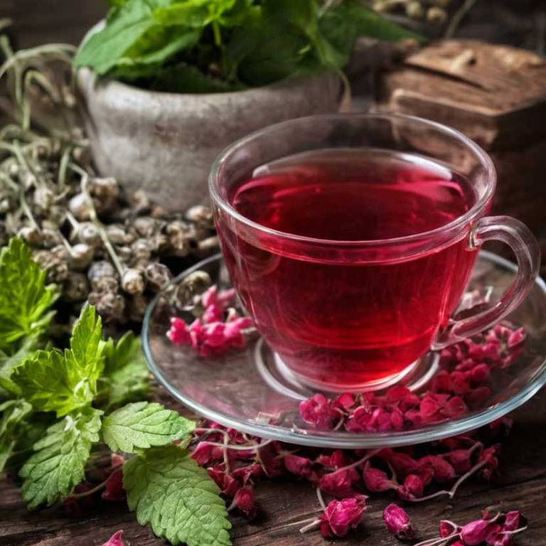 herbal teas for osteoporosis Ribes nigrum