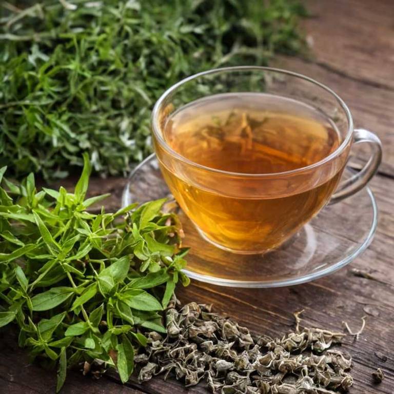 herbal teas for prostatitis overview