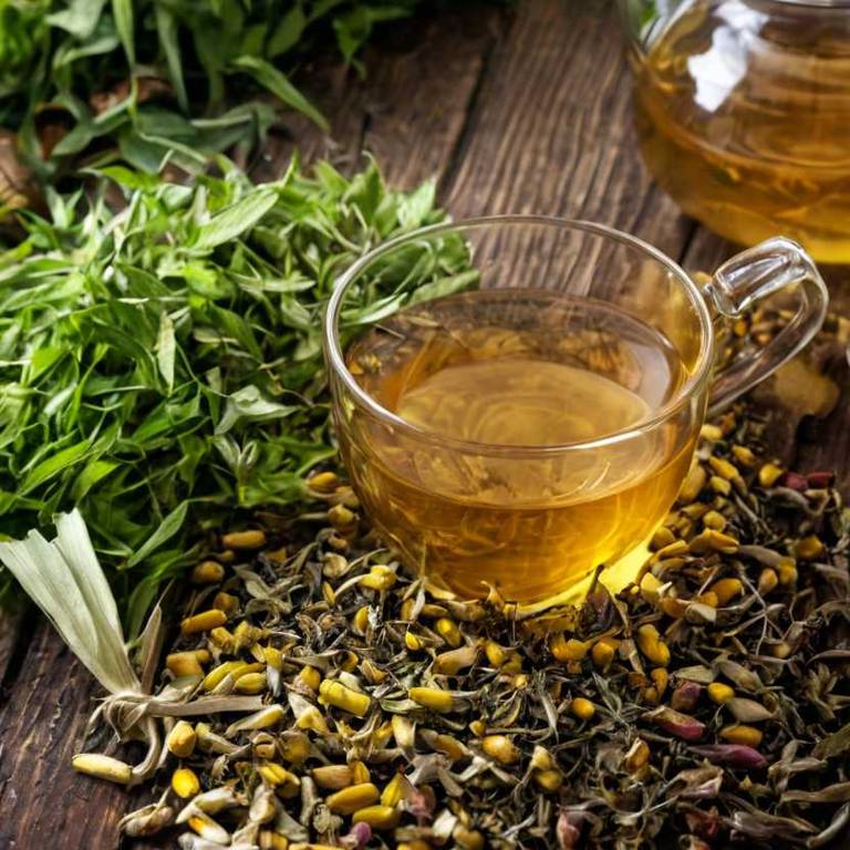 herbal teas for prostatitis Zea mays