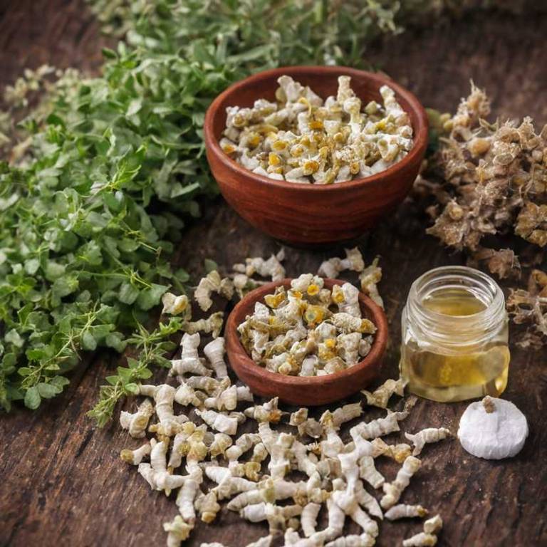 herbal teas for rheumatoid-arthritis Boswellia serrata