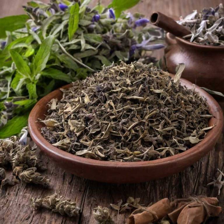 herbal teas for sinus-headache Salvia officinalis