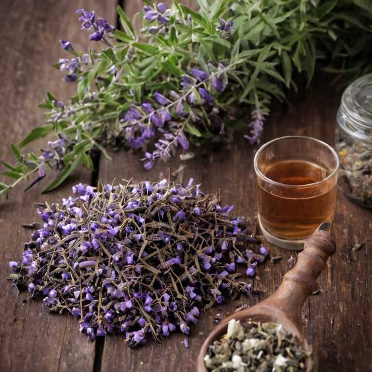 herbal teas for snoring Vitex agnus castus