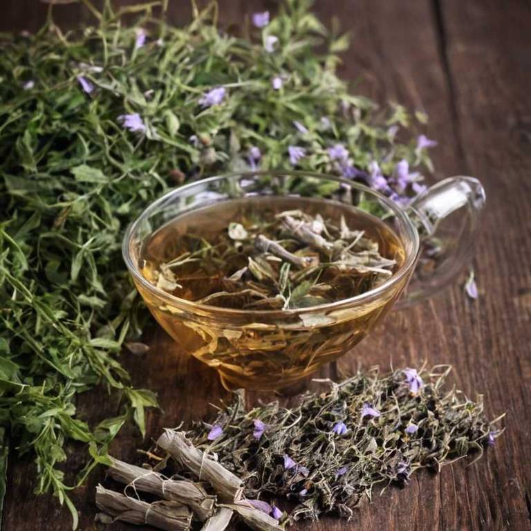 herbal teas for stiff-neck overview