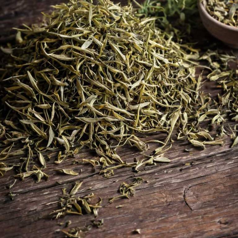 herbal teas for stomach-pain Anethum graveolens