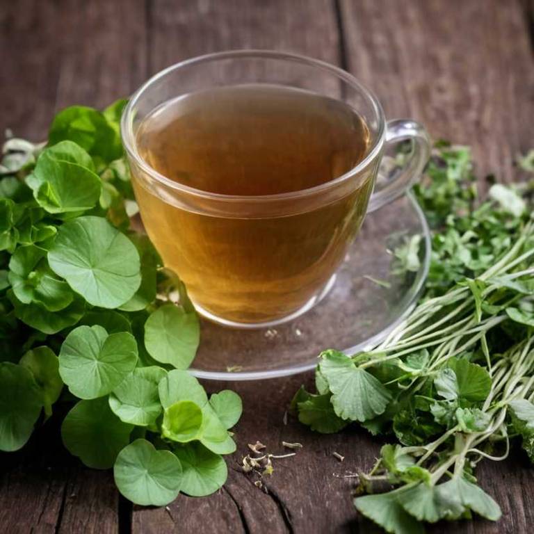 herbal teas for stress Centella asiatica