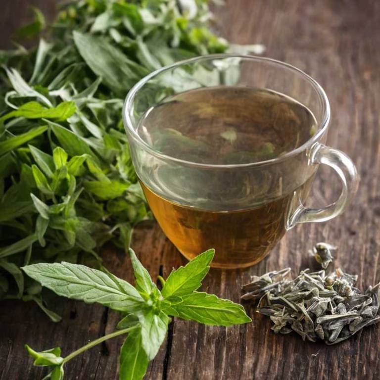 herbal teas for throat-pain Stevia rebaudiana