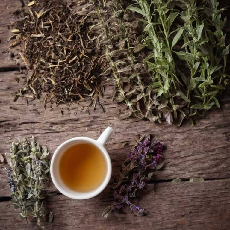 herbal teas for tooth-decay Salvia officinalis