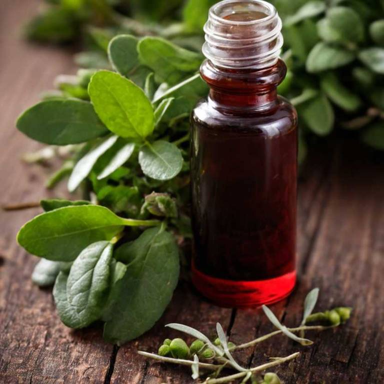 herbal tinctures for abdominal-pain Gaultheria procumbens