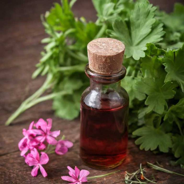 herbal tinctures for abdominal-pain overview