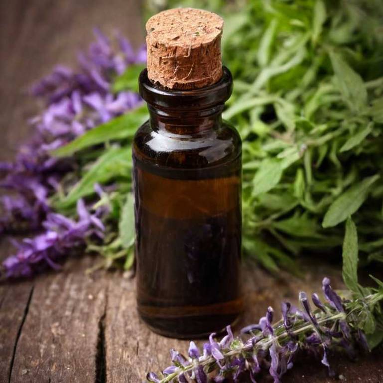 herbal tinctures for adrenal-fatigue Scutellaria lateriflora