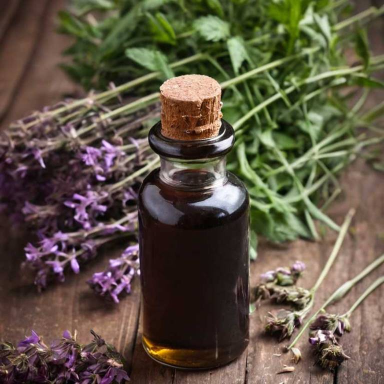 herbal tinctures for adrenal-fatigue Valeriana officinalis