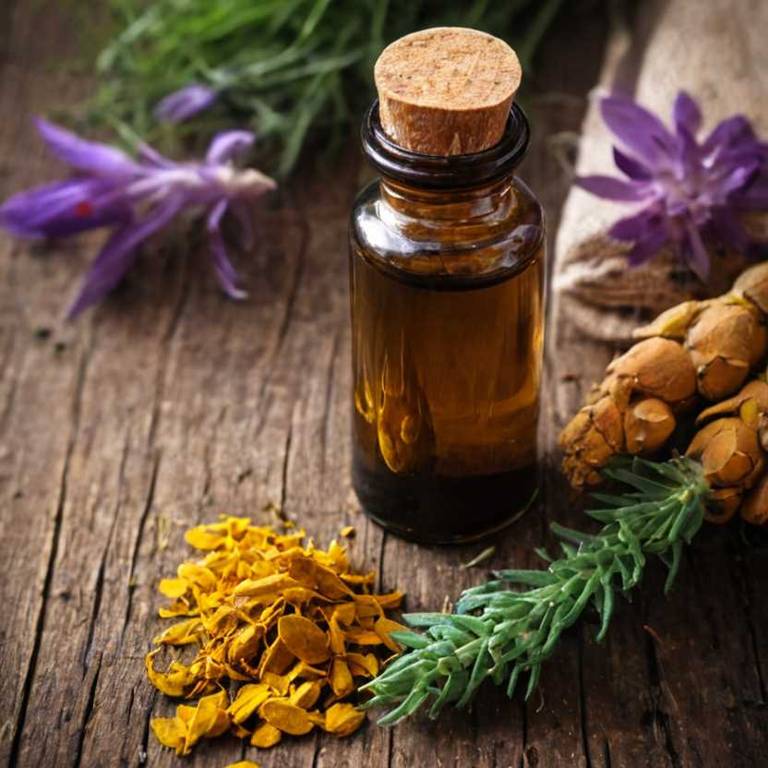 herbal tinctures for aging Curcuma longa