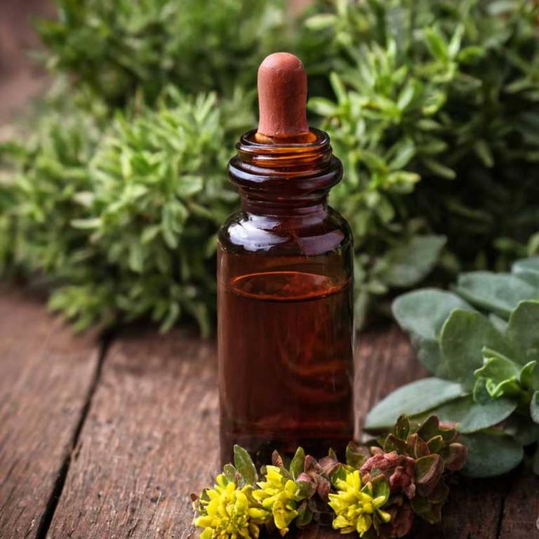 herbal tinctures for aging Rhodiola rosea