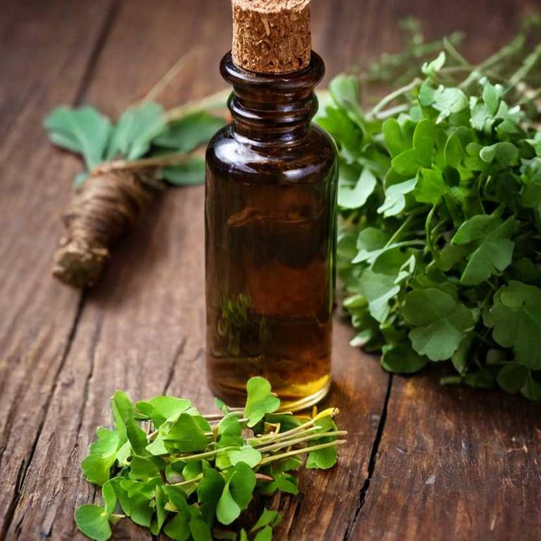 herbal tinctures for akylosing-spondylitis Ginkgo biloba