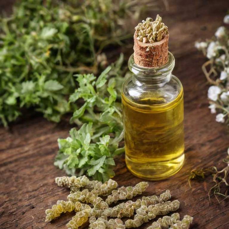 herbal tinctures for allergies Boswellia serrata