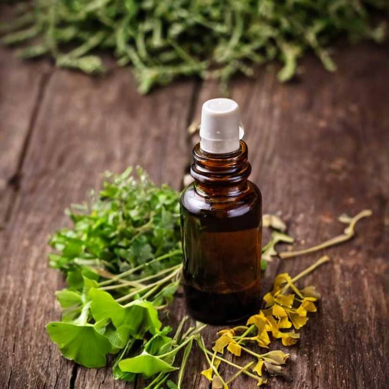 herbal tinctures for allergies Ginkgo biloba