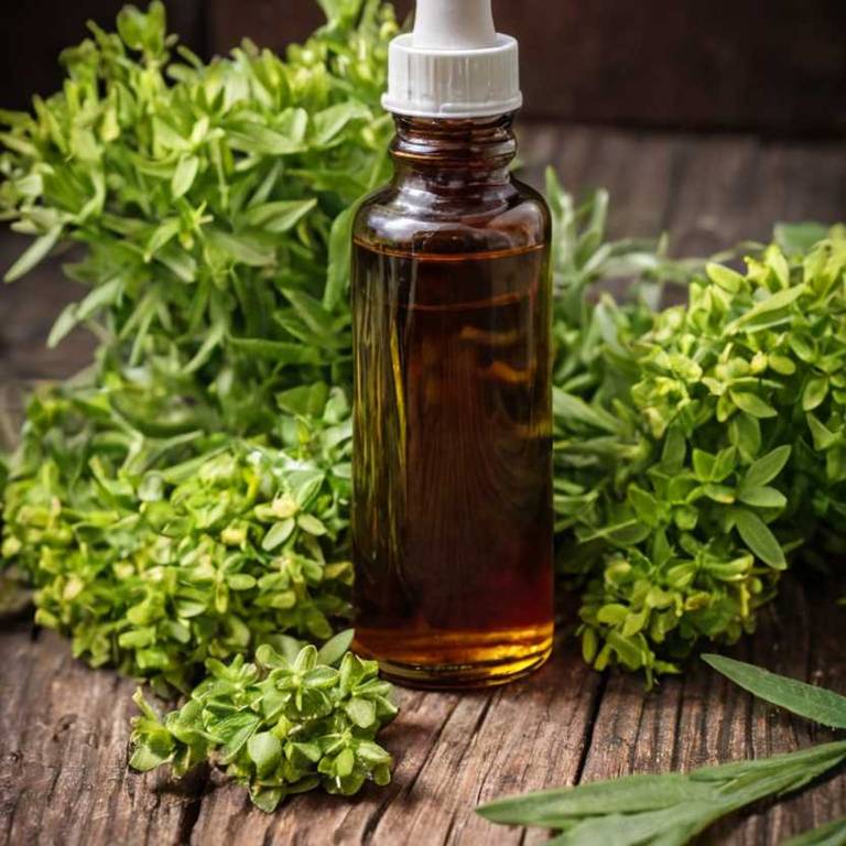 herbal tinctures for allergies overview