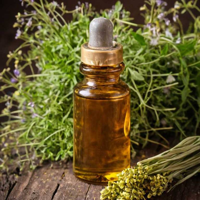 herbal tinctures for amenorrhea Bupleurum falcatum