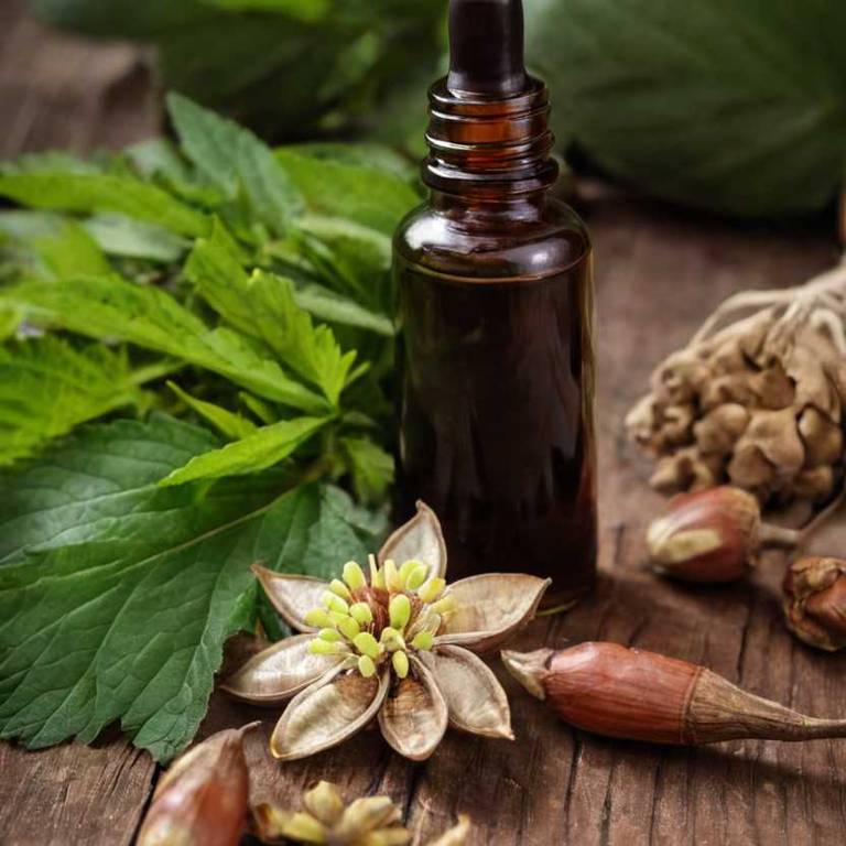 herbal tinctures for amenorrhea overview