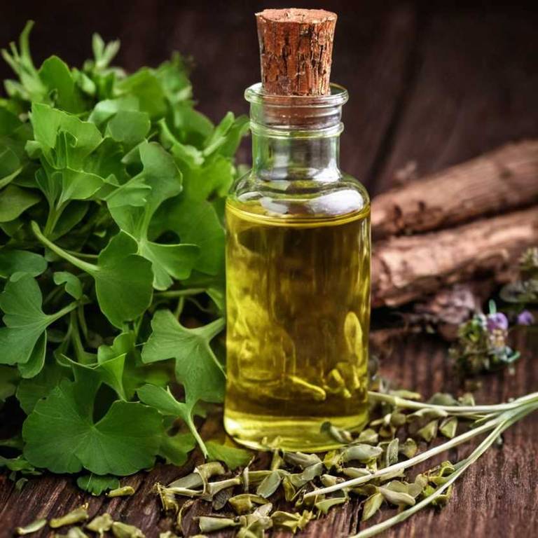 herbal tinctures for angina Ginkgo biloba