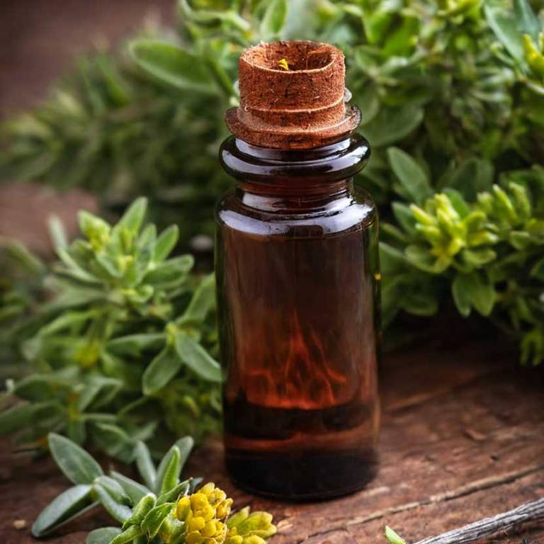 herbal tinctures for angina Rhodiola rosea