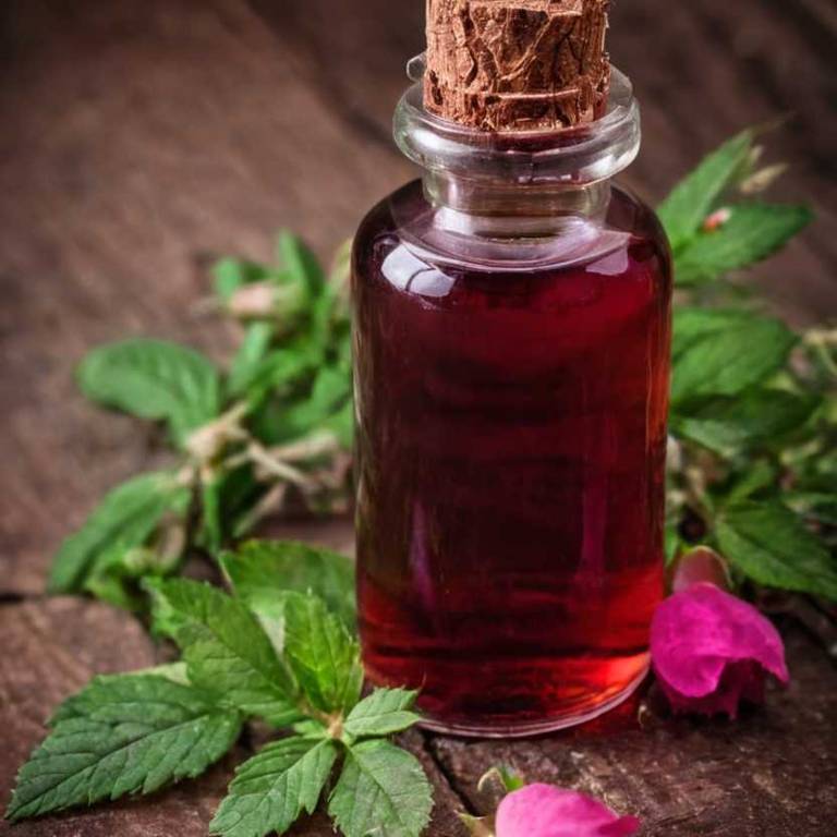 herbal tinctures for arthritis Rosa rugosa