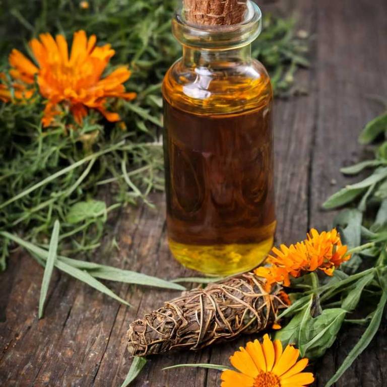 herbal tinctures for athlete-foot Calendula officinalis