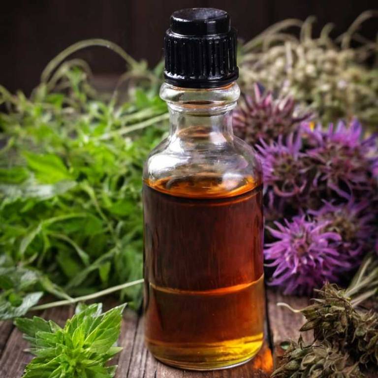 herbal tinctures for athlete-foot Monarda didyma