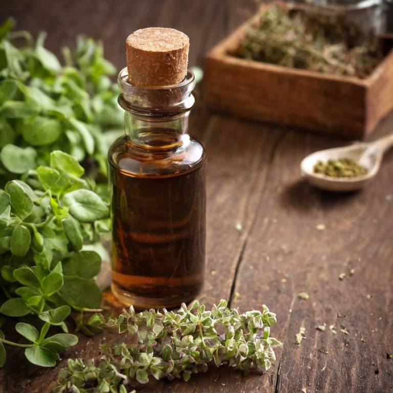 herbal tinctures for athlete-foot Origanum vulgare