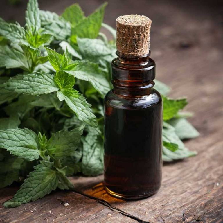 herbal tinctures for bad-taste Mentha x piperita