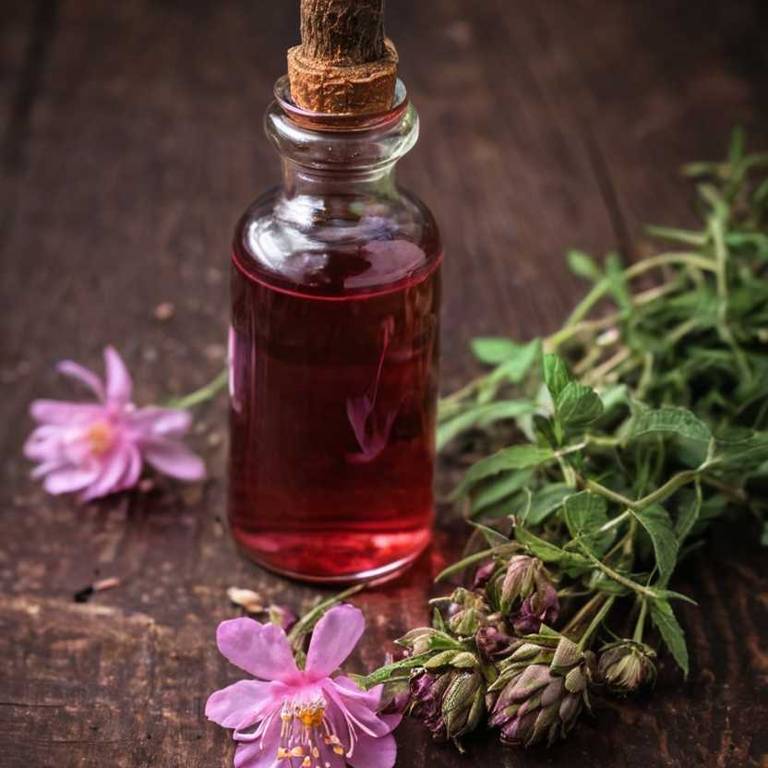 herbal tinctures for bad-taste Rosa damascena