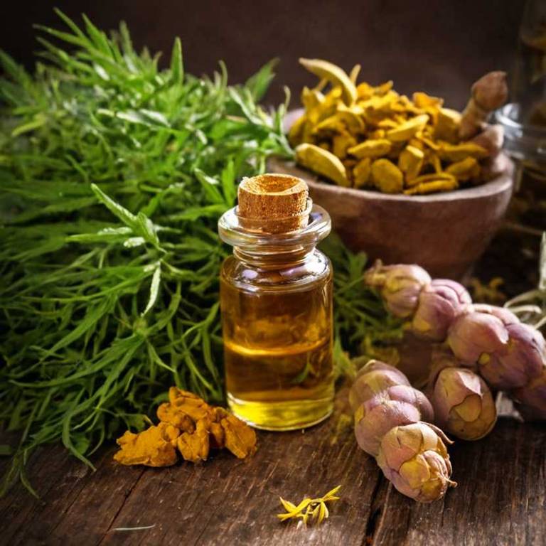 herbal tinctures for baldness Curcuma longa