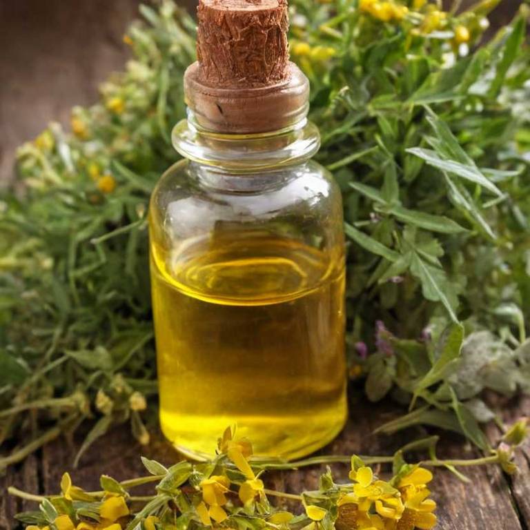 herbal tinctures for bee-sting Hypericum perforatum