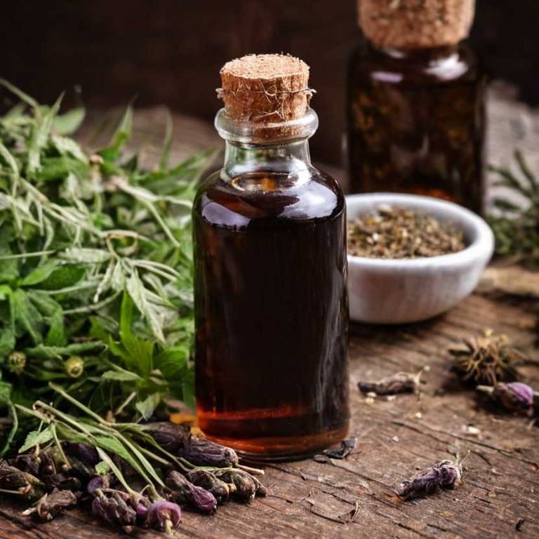 herbal tinctures for bee-sting overview