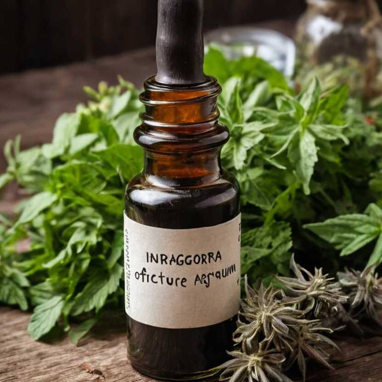 herbal tinctures for benign-prostatic-hypertrophy overview