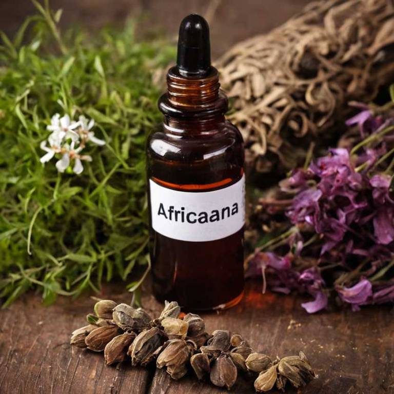 herbal tinctures for benign-prostatic-hypertrophy Prunus africana