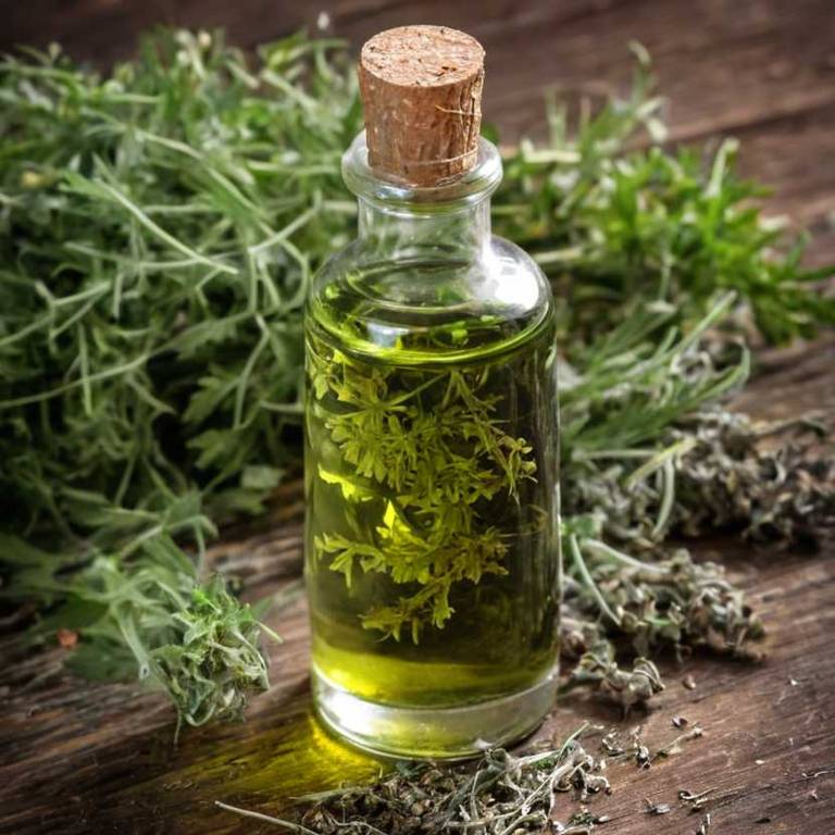 herbal tinctures for bloating Artemisia absinthium