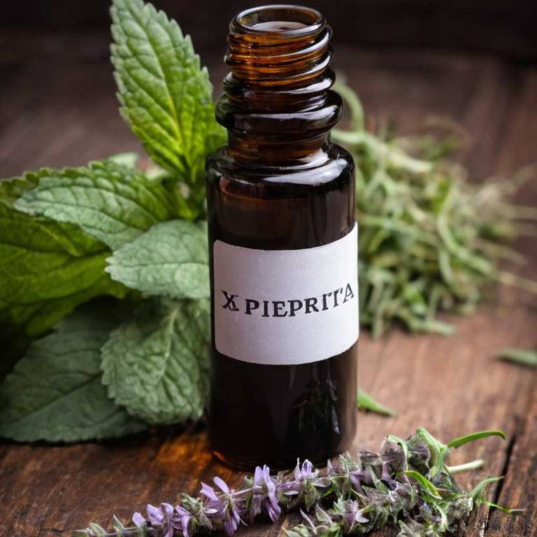 herbal tinctures for bloating Mentha x piperita