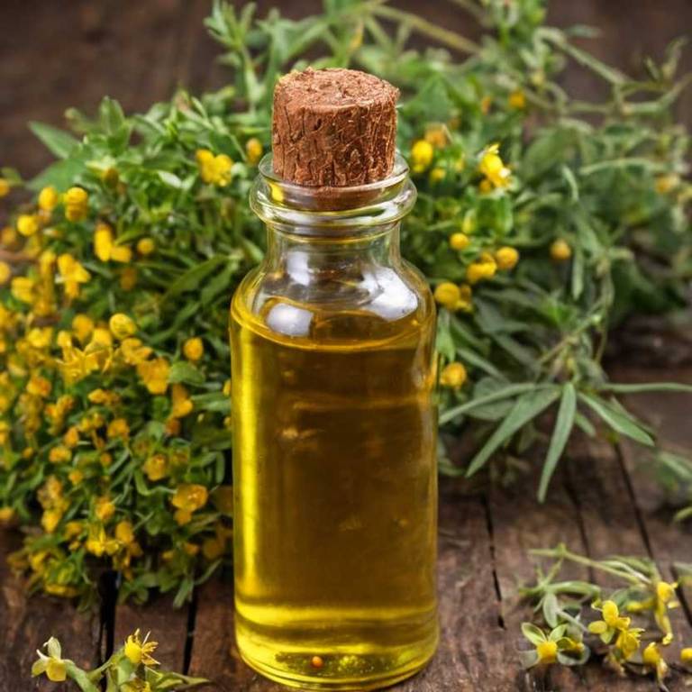 herbal tinctures for body-odor Hypericum perforatum