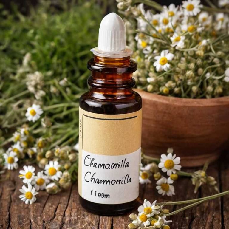 herbal tinctures for body-odor Matricaria chamomilla