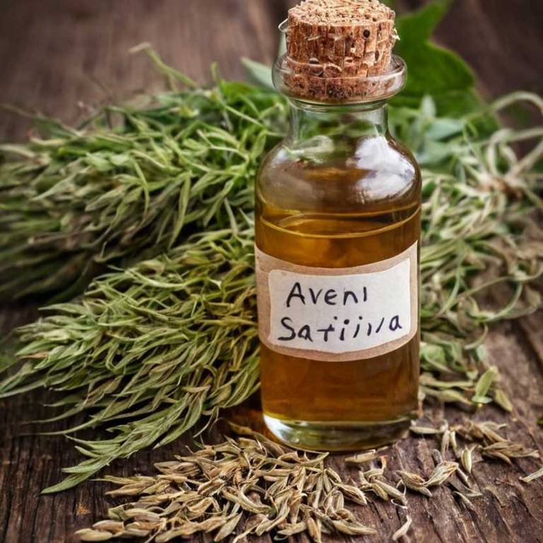 herbal tinctures for bone-health Avena sativa