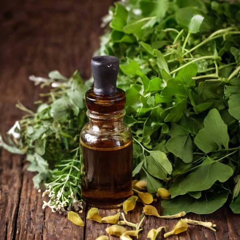 herbal tinctures for bone-health Ginkgo biloba