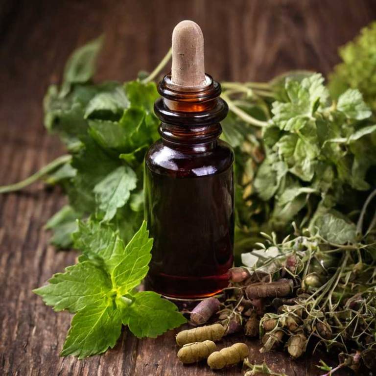 herbal tinctures for bone-health Vitis vinifera