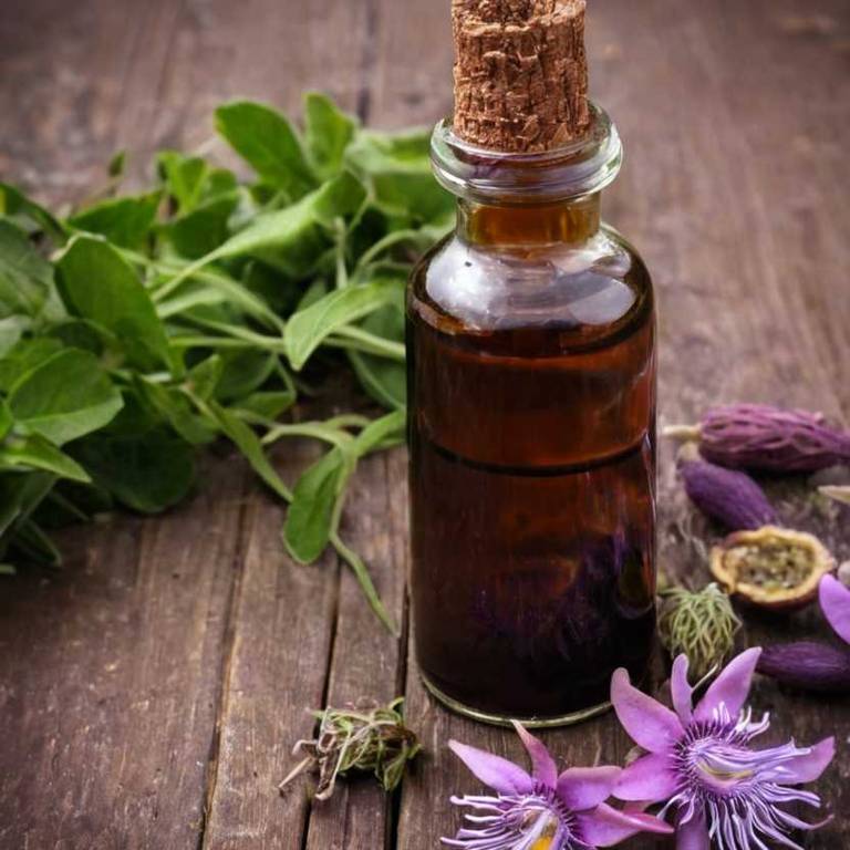 herbal tinctures for brain-fog Passiflora incarnata