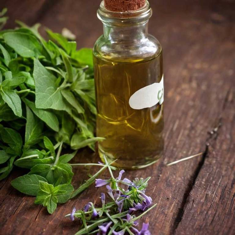 herbal tinctures for bruises overview