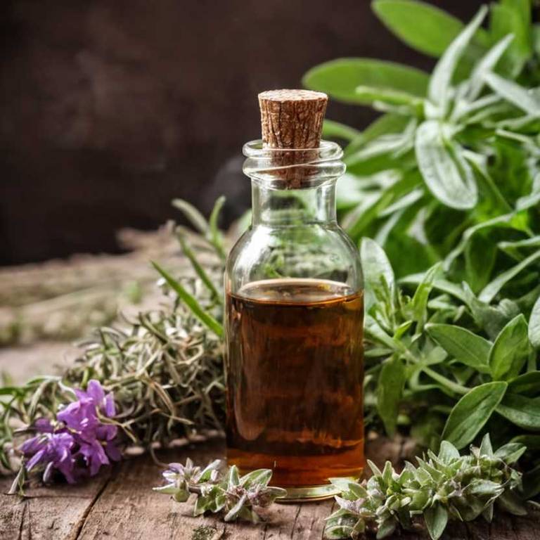 herbal tinctures for bruises Symphytum officinale